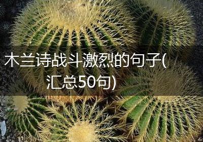木兰诗战斗激烈的句子(汇总50句)