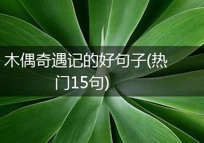 木偶奇遇记的好句子(热门15句)