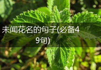 未闻花名的句子(必备49句)