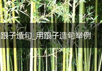 跟子造句_用跟子造句举例