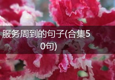 服务周到的句子(合集50句)