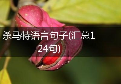 杀马特语言句子(汇总124句)