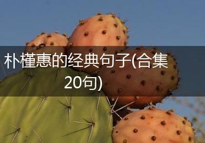 朴槿惠的经典句子(合集20句)
