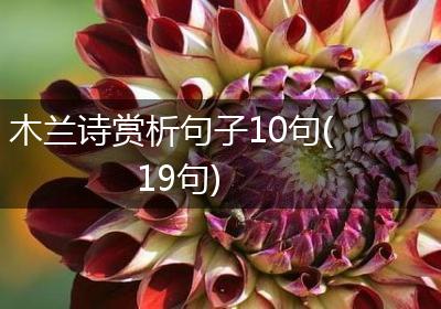 木兰诗赏析句子10句(19句)