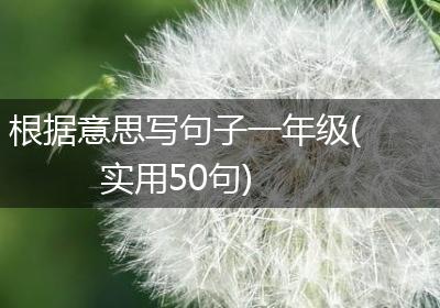 根据意思写句子一年级(实用50句)