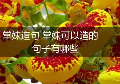 堂妹造句 堂妹可以造的句子有哪些