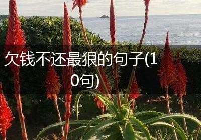 欠钱不还最狠的句子(10句)