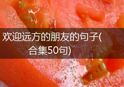 欢迎远方的朋友的句子(合集50句)