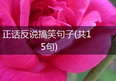 正话反说搞笑句子(共15句)