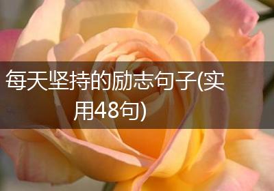 每天坚持的励志句子(实用48句)