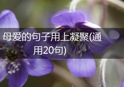 母爱的句子用上凝聚(通用20句)