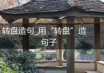 转盘造句_用“转盘”造句子