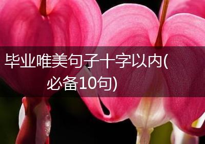 毕业唯美句子十字以内(必备10句)