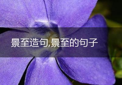 景至造句,景至的句子