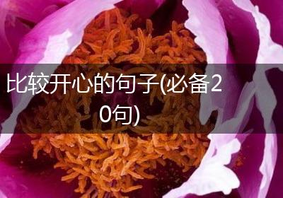 比较开心的句子(必备20句)