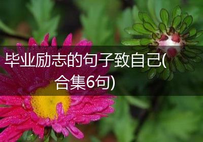 毕业励志的句子致自己(合集6句)