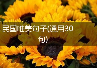 民国唯美句子(通用30句)