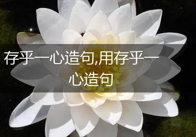 存乎一心造句,用存乎一心造句