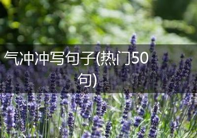 气冲冲写句子(热门50句)