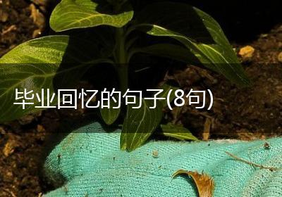 毕业回忆的句子(8句)