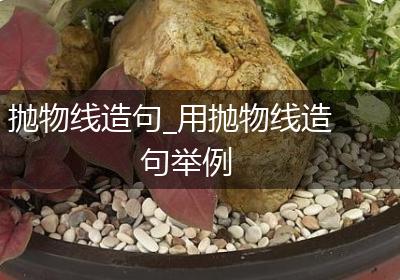 抛物线造句_用抛物线造句举例