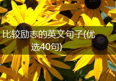 比较励志的英文句子(优选40句)