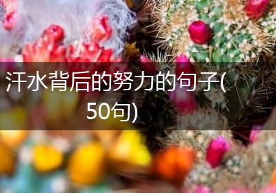 汗水背后的努力的句子(50句)