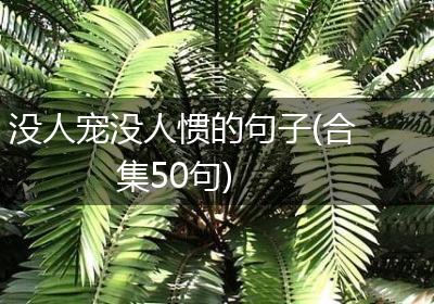没人宠没人惯的句子(合集50句)