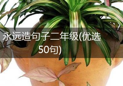 永远造句子二年级(优选50句)