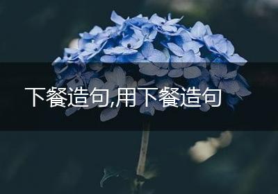 下餐造句,用下餐造句