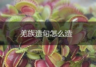 羌族造句怎么造