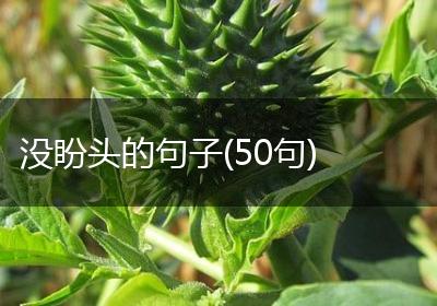 没盼头的句子(50句)