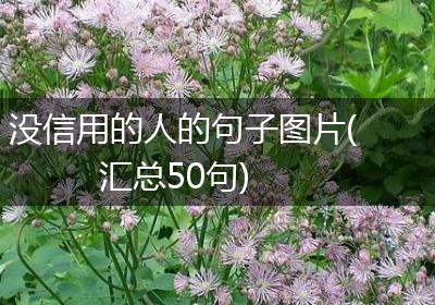 没信用的人的句子图片(汇总50句)