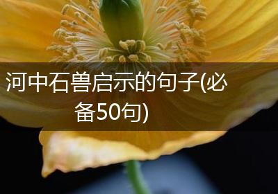 河中石兽启示的句子(必备50句)
