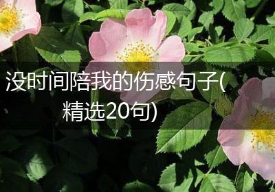 没时间陪我的伤感句子(精选20句)