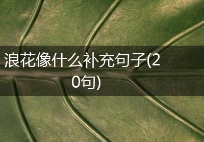 浪花像什么补充句子(20句)