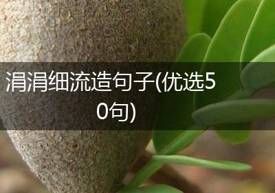 涓涓细流造句子(优选50句)