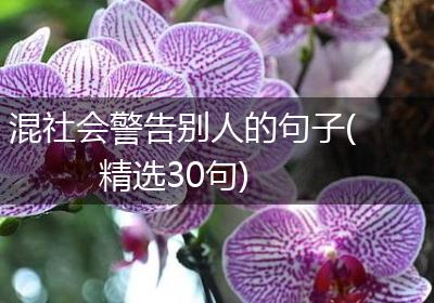 混社会警告别人的句子(精选30句)