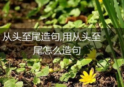 从头至尾造句,用从头至尾怎么造句