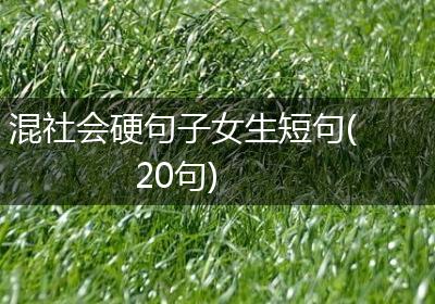 混社会硬句子女生短句(20句)