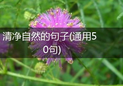 清净自然的句子(通用50句)