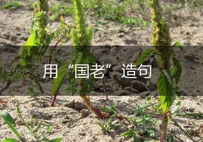 用“国老”造句