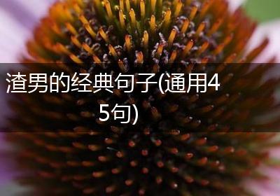 渣男的经典句子(通用45句)
