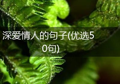 深爱情人的句子(优选50句)