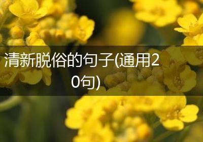 清新脱俗的句子(通用20句)