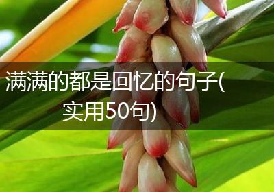 满满的都是回忆的句子(实用50句)