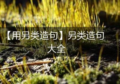 【用另类造句】另类造句大全