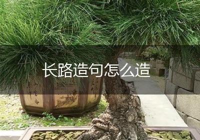 长路造句怎么造