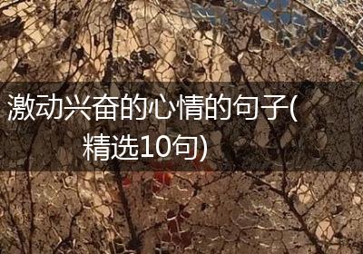 激动兴奋的心情的句子(精选10句)