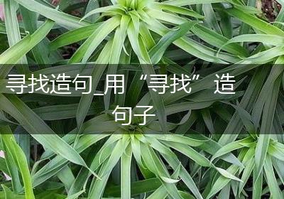 寻找造句_用“寻找”造句子
